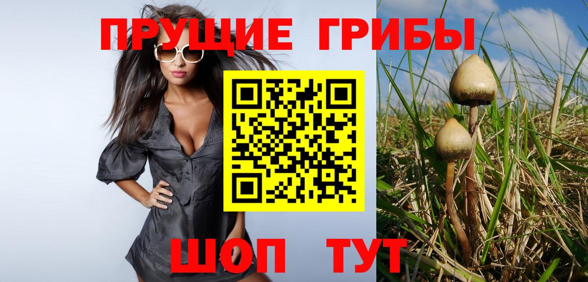 Альметьевск  Галлюциногенные грибы GOLDEN TEACHER  Псилоцибиновые грибы Psilocybe  Вход с VPN 